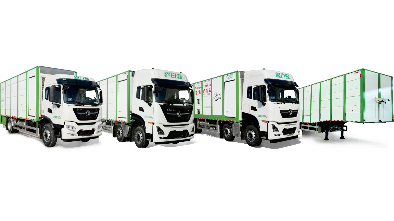 畜（雏）禽运输车